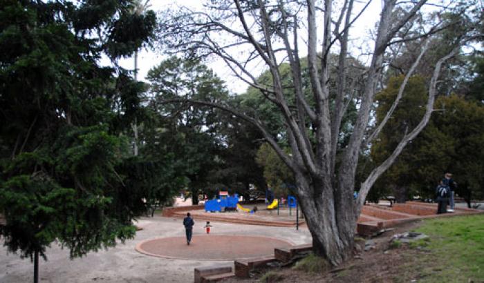 Parque José Batlle y Ordóñez